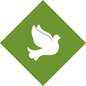 Birds Pest Control