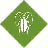 Cockroaches Pest Control