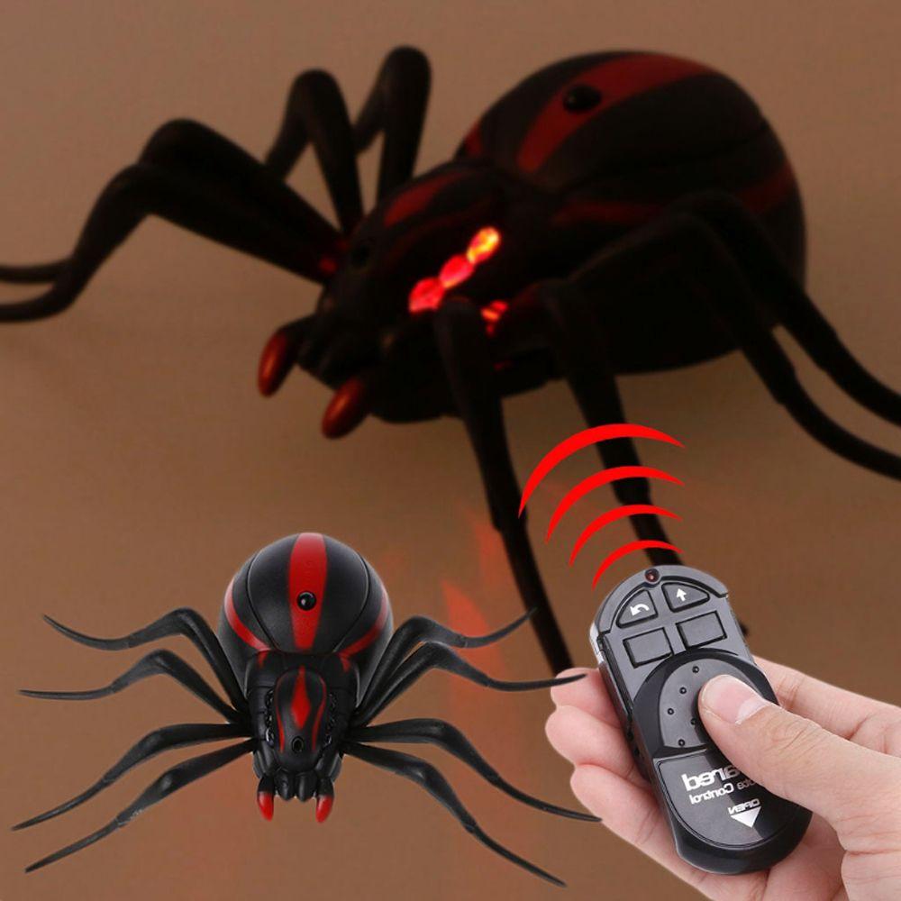 Spiders and Insects