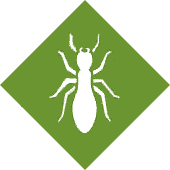 Termite Control