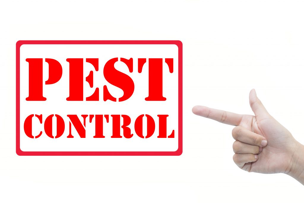 Pest Control Deals Perth