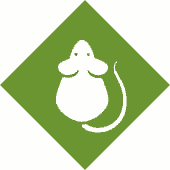 Rodents Pest Control