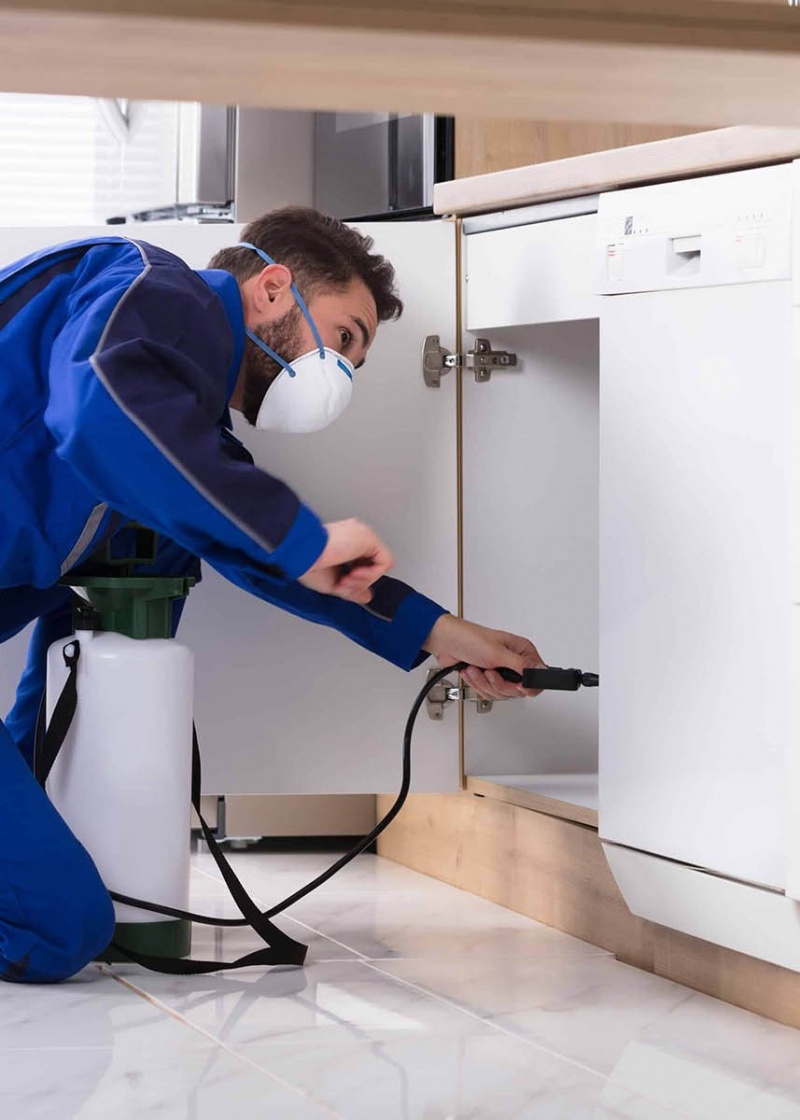 Commercial Pest Control