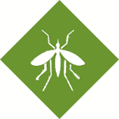 Mosquitoes Pest Control