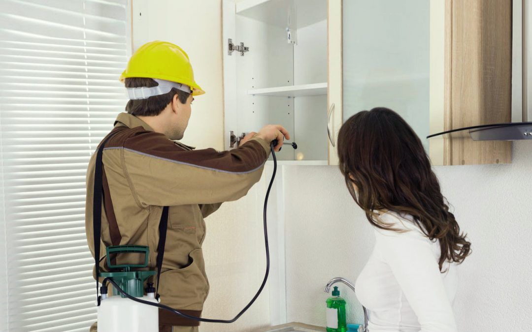 Residential Pest Control