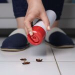 Why DIY Pest Control Fails