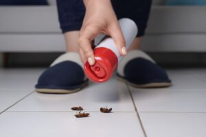 Why DIY Pest Control Fails